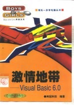 激情地带 Visual Basic 6.0