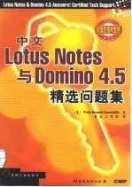 中文Lotus Notes与Domino 4.5精选问题集