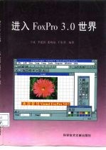 进入 FoxPro 3.0 世界