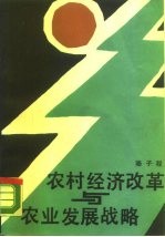 农村经济改革与农业发展战略