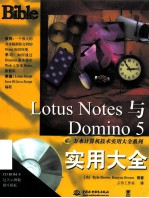 Lotus Notes与Domino 5实用大全