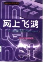 网上飞鸿 E-mail全程访问Internet