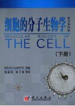 细胞的分子生物学  下  原书第4版