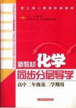 新教材化学 同步·分层·导学 高中二年级 第二学期用