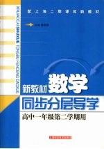 新教材数学  同步·分层·导学  高中一年级  第二学期用