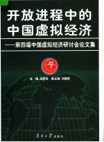 开放进程中的中国虚拟经济：第四届中国虚拟经济研讨会论文集