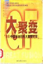 大聚变 '98 中国石油石化大重组纪实