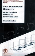 Low-Dimensional Geometry From Euclidean Surfaces to Hyperbolic Knots