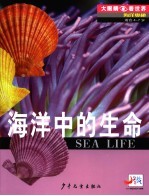 海洋奥秘 海洋中的生命