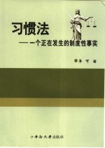 习惯法 一个正在发生的制度性事实