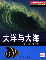 海洋奥秘 大洋与大海