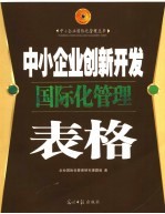 中小企业创新开发国际化管理表格