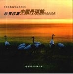 世界珍禽 中国丹顶鹤 red-crowned cranes in China