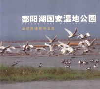 鄱阳湖国家湿地公园 李哲民摄影作品选