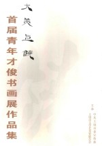 大美上饶 首届青年才俊书画展作品集