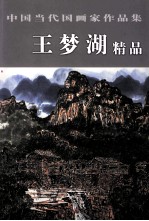 中国当代国画家作品集 王梦湖精品