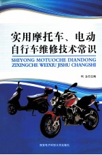 实用摩托车、电动自行车维修技术常识