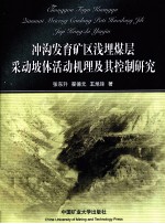 冲沟发育矿区浅埋煤层采动坡体活动机理及其控制研究