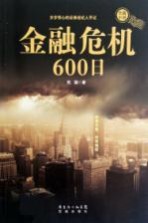 金融危机600日 长篇小说