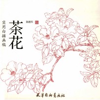 实用白描画稿 茶花