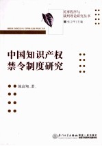 中国知识产权禁令制度研究