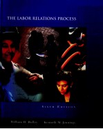 THE LABOR RELATIONS PROCESS