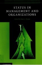 STATUS IN MANAGEMENT AND ORGANIZATIONS