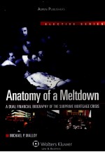 ANATOMY OF A MELTDOWN A DUAL FINANCIAL BLOGRAPHY OF THE SUBPRME MORTGAGE CRISIS