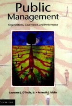 PUBLIC MANAGEMENT ORGANIZATIONS