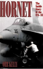 HORNET THE INSIDE STORY OF THE F/A-18