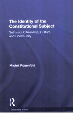 THE IDENTITY OF THE CONSTITUTIONAL SUBJECT