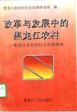 改革与发展中的黑龙江农村 黑龙江省农村社会经济调查 上