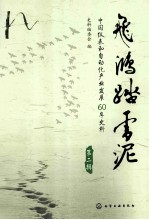 飞鸿踏雪泥 中国仪表和自动化产业发展60年史料 第2辑