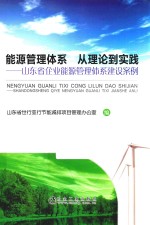 能源管理体系  从理论到实践  山东省企业能源管理体系建设案例