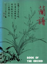 中国花卉画基础 兰谱