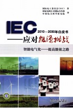 IEC 2010-2030年白皮书 应对能源挑战