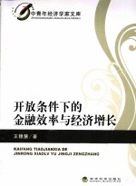 开放条件下的金融效率与经济增长