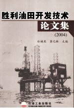 胜利油田开发技术论文集 2004