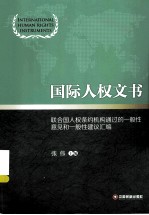 国际人权文书 联合国人权条约机构通过的一般性意见和一般性建议汇编