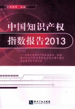 中国知识产权指数报告 2013