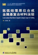 氩弧熔覆原位合成金属基复合材料涂层