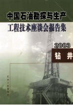 中国石油勘探与生产工程技术座谈会报告集 2003 钻井