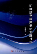 矿井数字视频信息处理技术