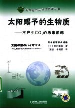 太阳赐予的生物质 不产生CO2的未来能源