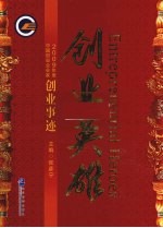 创业英雄  2009年度中国创业企业家创业事迹