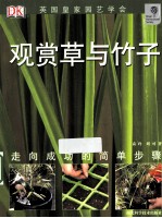 竹子与观赏草