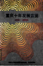 重庆十年发展蓝图 1991-2000