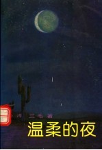 温柔的夜