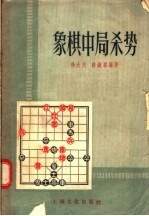 象棋中局杀势