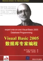 Visual Basic 2005数据库编程